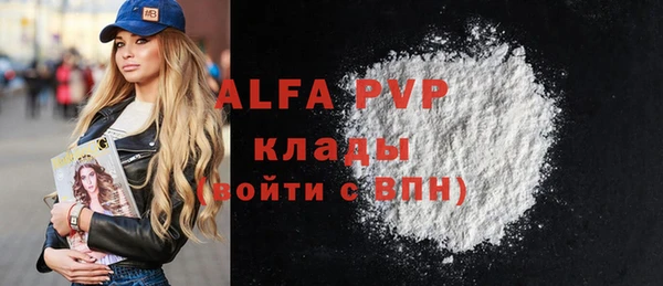 PSILOCYBIN Михайлов