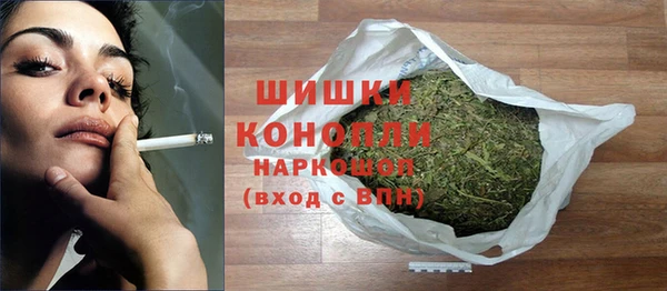 прущие грибы Михайловск