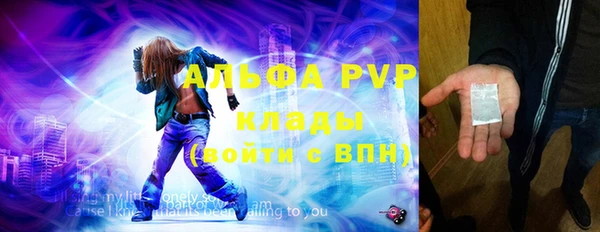 прущие грибы Михайловск