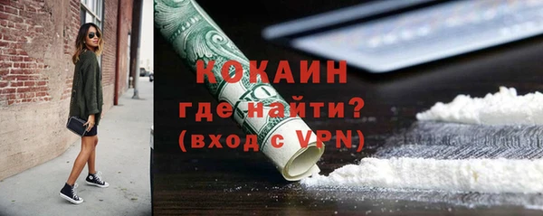 прущие грибы Михайловск