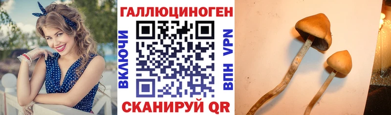 гидра зеркало  Нязепетровск  дарк нет наркотические препараты  Галлюциногенные грибы ЛСД 